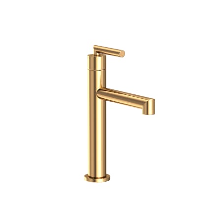 A large image of the Newport Brass 2493 Polished Brass Uncoated (Living)