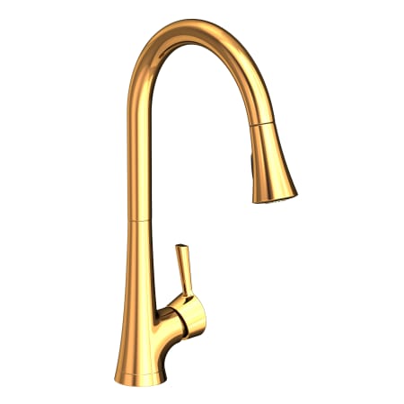 A large image of the Newport Brass 2500-5123 Polished Gold (PVD)