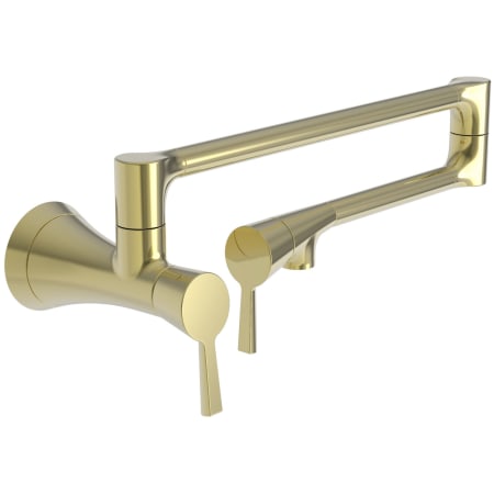 A large image of the Newport Brass 2500-5503 Polished Brass Uncoated (Living)