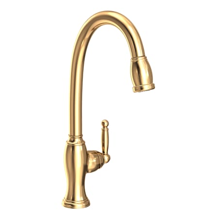 A large image of the Newport Brass 2510-5103 Polished Brass Uncoated (Living)