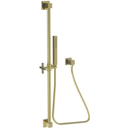 A large image of the Newport Brass 280T Uncoated Polished Brass - Living