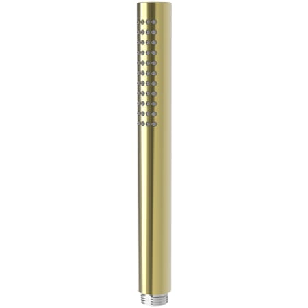 A large image of the Newport Brass 283-101 Polished Brass Uncoated (Living)