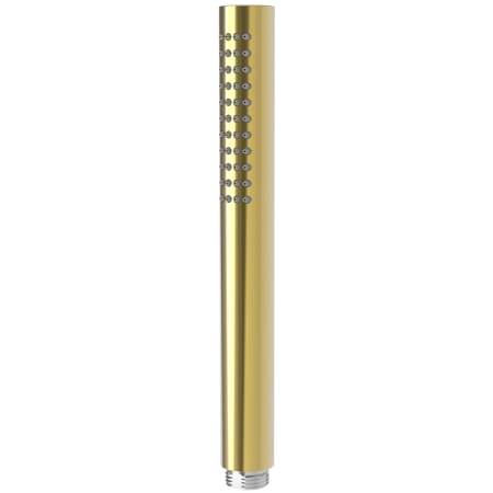A large image of the Newport Brass 283-101 Polished Gold (PVD)