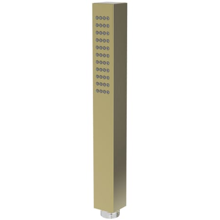 A large image of the Newport Brass 283-102 Polished Brass Uncoated (Living)