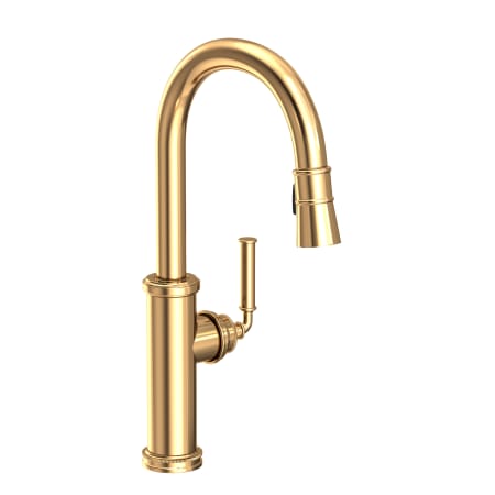 A large image of the Newport Brass 2940-5103 Polished Brass Uncoated (Living)