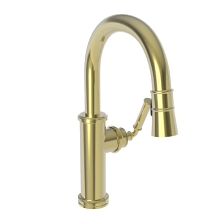 A large image of the Newport Brass 2940-5223 Polished Brass Uncoated (Living)