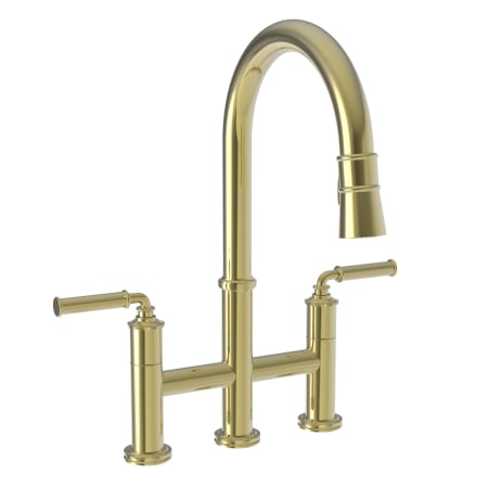 A large image of the Newport Brass 2940-5463 Polished Brass Uncoated (Living)