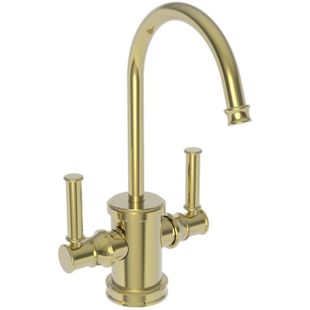 A large image of the Newport Brass 2940-5603 Polished Brass Uncoated (Living)