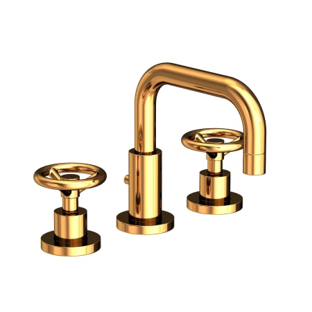 A large image of the Newport Brass 2960 Polished Gold (PVD)