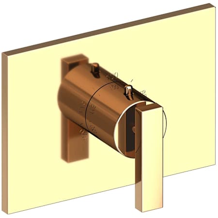 A large image of the Newport Brass 3-2044TS French Gold (PVD)