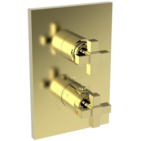 A large image of the Newport Brass 3-3153TS Polished Brass Uncoated (Living)