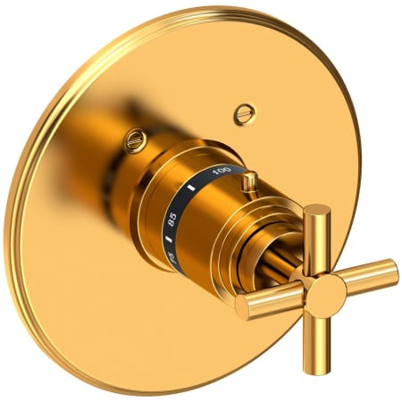 A large image of the Newport Brass 3-994TR Aged Brass
