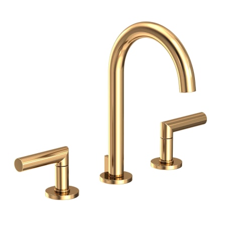 A large image of the Newport Brass 3100 Polished Brass Uncoated (Living)