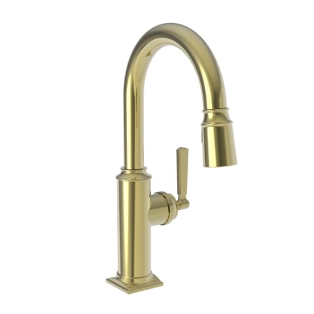 A large image of the Newport Brass 3170-5203 Uncoated Polished Brass (Living)