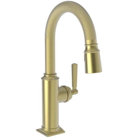 A large image of the Newport Brass 3170-5203 Satin Brass - PVD