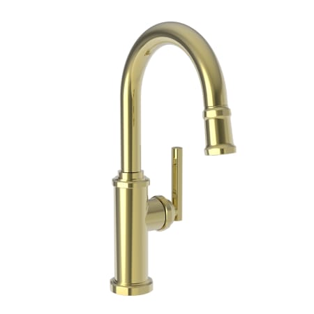 A large image of the Newport Brass 3190-5223 Uncoated Polished Brass - Living