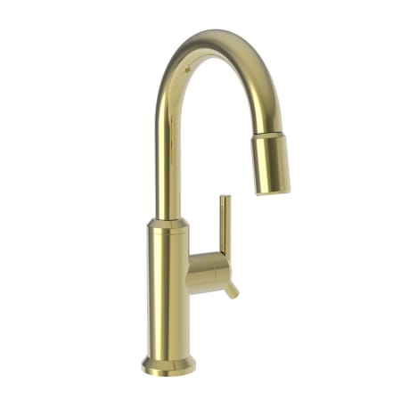 A large image of the Newport Brass 3200-5223 Uncoated Polished Brass (Living)