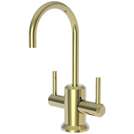 A large image of the Newport Brass 3200-5603 Polished Brass Uncoated (Living)
