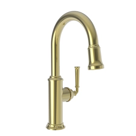 A large image of the Newport Brass 3210-5203 Uncoated Polished Brass (Living)