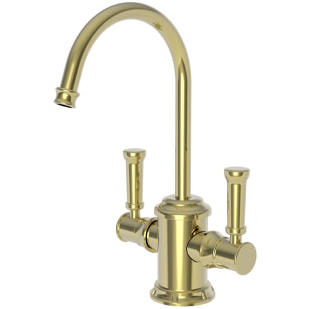 A large image of the Newport Brass 3210-5603 Polished Brass Uncoated (Living)