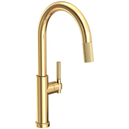 A large image of the Newport Brass 3290-5143 Polished Brass Uncoated (Living)