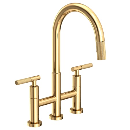 A large image of the Newport Brass 3290-5463 Polished Brass Uncoated (Living)