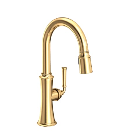 A large image of the Newport Brass 3310-5203 Uncoated Polished Brass (Living)