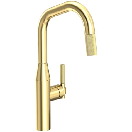 A large image of the Newport Brass 3360-5113 Forever Brass (PVD)