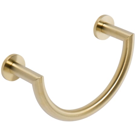 A large image of the Newport Brass 36-09 Satin Brass (PVD)