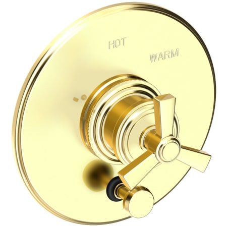 A large image of the Newport Brass 5-1602BP Forever Brass (PVD)