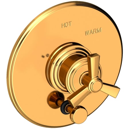 A large image of the Newport Brass 5-1602BP Polished Gold (PVD)