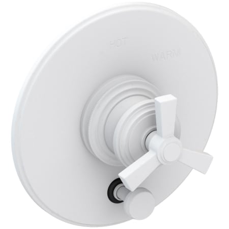 A large image of the Newport Brass 5-1602BP Matte White