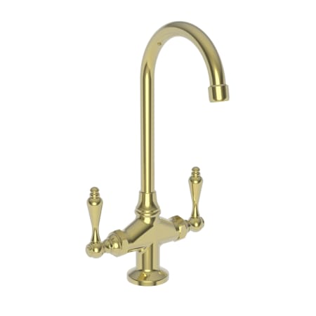 A large image of the Newport Brass 8081 Polished Brass Uncoated (Living)