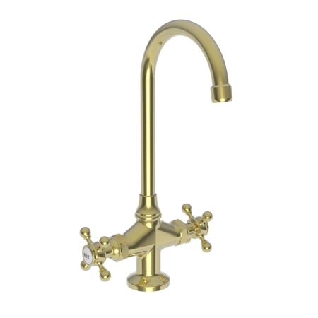 A large image of the Newport Brass 9281 Polished Brass Uncoated (Living)