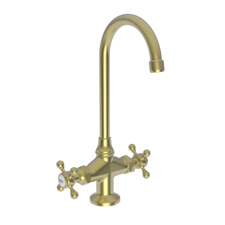 A large image of the Newport Brass 9281 Satin Brass (PVD)