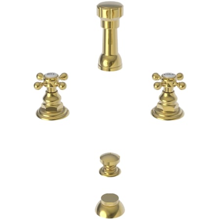 A large image of the Newport Brass 929 Polished Gold (PVD)