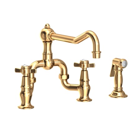 A large image of the Newport Brass 9451-1 Polished Brass Uncoated (Living)