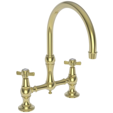 A large image of the Newport Brass 9455 Polished Brass Uncoated (Living)