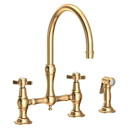 A large image of the Newport Brass 9456 Polished Brass Uncoated (Living)