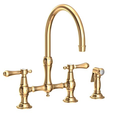 A large image of the Newport Brass 9458 Polished Brass Uncoated (Living)