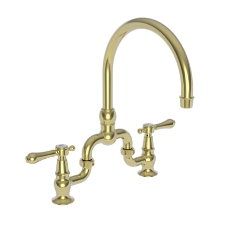 A large image of the Newport Brass 9463 Polished Brass Uncoated (Living)