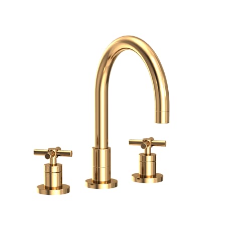 A large image of the Newport Brass 9901 Polished Brass Uncoated (Living)