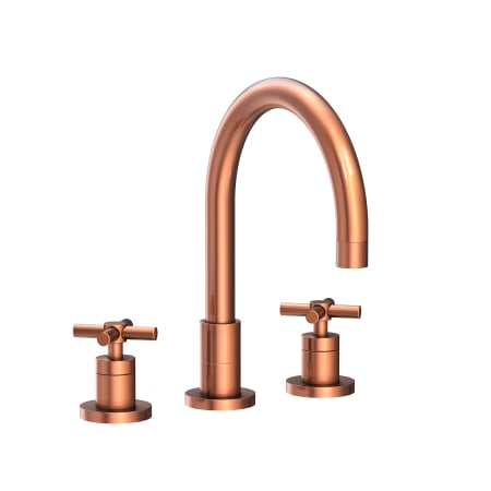 A large image of the Newport Brass 9901 Antique Copper