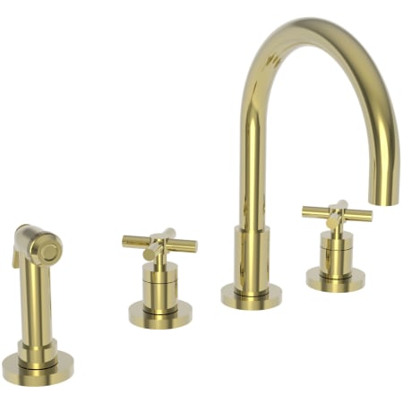 A large image of the Newport Brass 9911 Polished Brass Uncoated (Living)