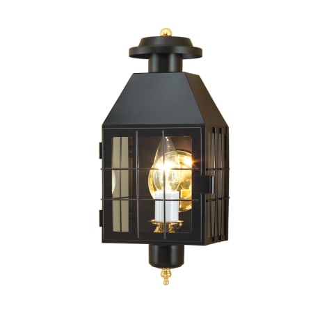 A large image of the Norwell Lighting 1059 Black with Clear Glass