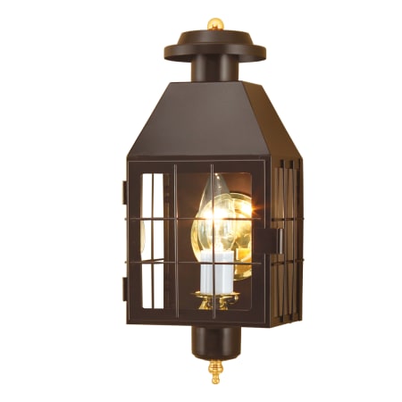 A large image of the Norwell Lighting 1059 Bronze with Clear Glass
