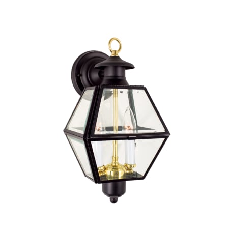 A large image of the Norwell Lighting 1063 Black with Beveled Glass