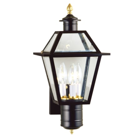 A large image of the Norwell Lighting 2233 Black with Clear Glass