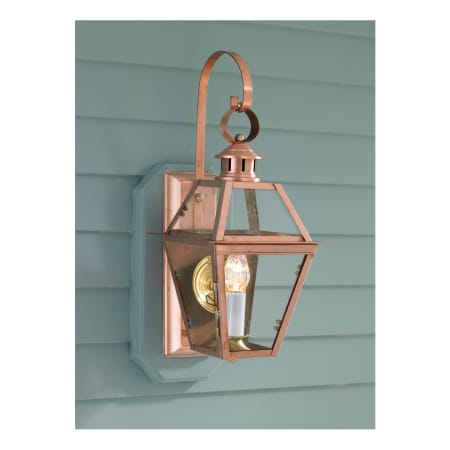 A large image of the Norwell Lighting 2253 Copper with Clear Glass