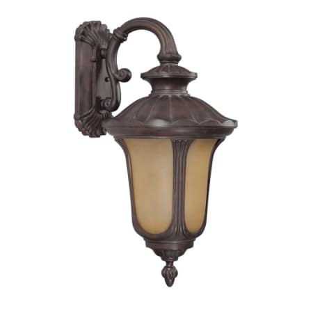 A large image of the Nuvo Lighting 60/3904 Fruitwood